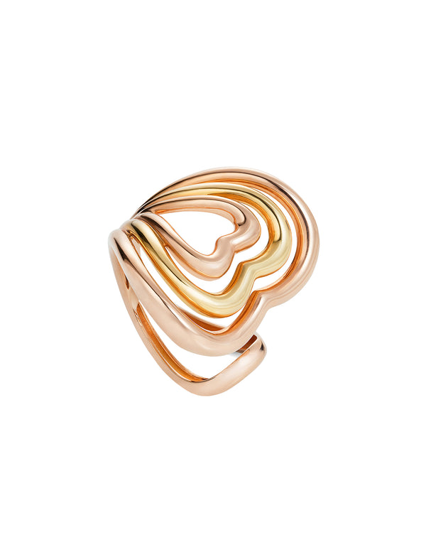 ‘Show n Tell’ - Ready 2 Pulse Ring
